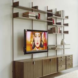 Atlas AS4 Wall Mounted TV Stand and Library Shelving